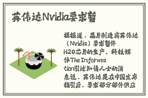 哔哩哔哩老阿姨b站肉片入口视频